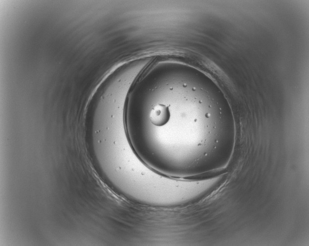 X0000067530828200604150223