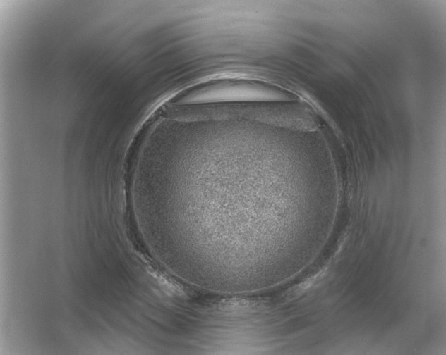 X0000067530829200604150223