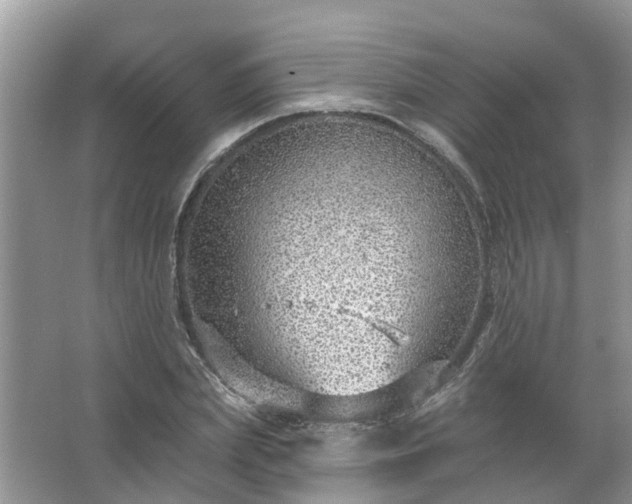 X0000067530831200604150223