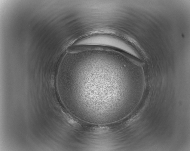 X0000067530833200604150223