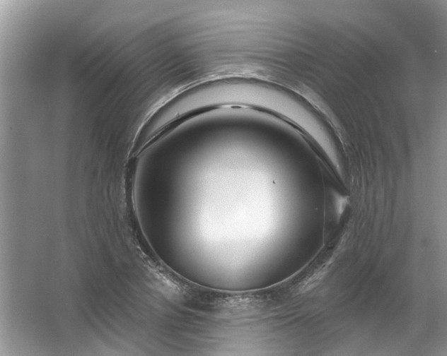 X0000067530834200604150223