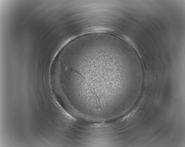 X0000067530835200604150223