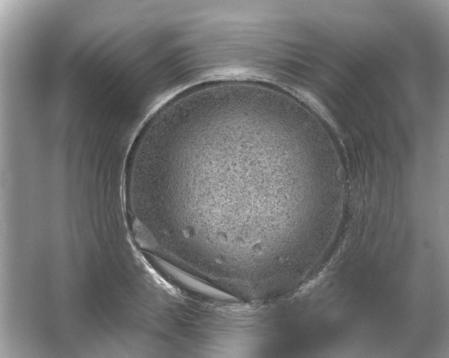 X0000067530839200604150223