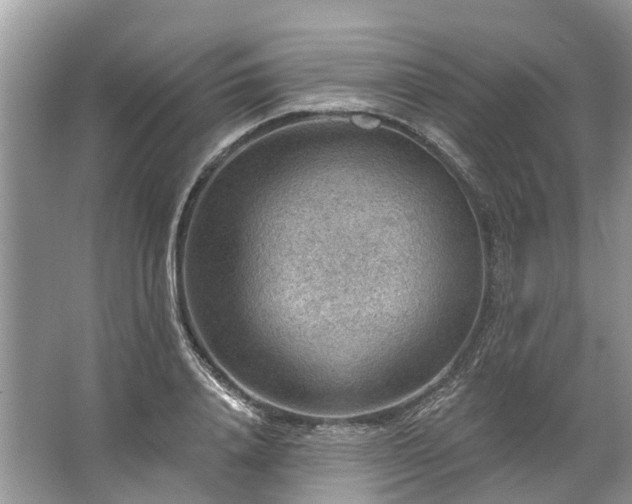 X0000067530840200604150223