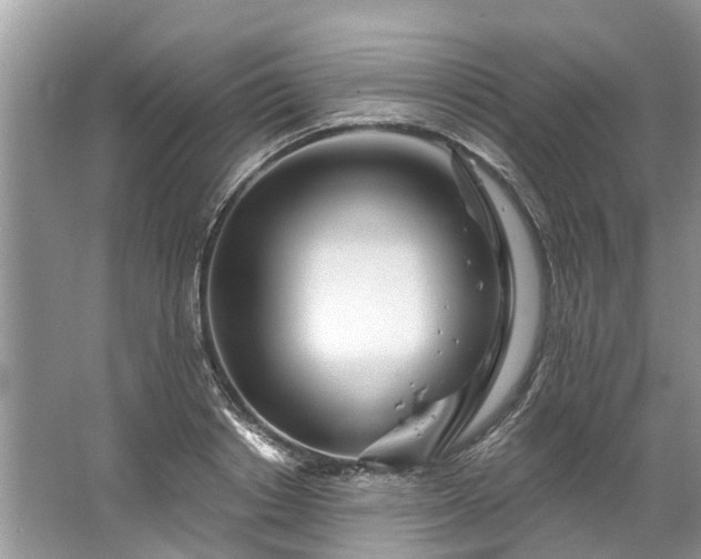 X0000067530842200604150223