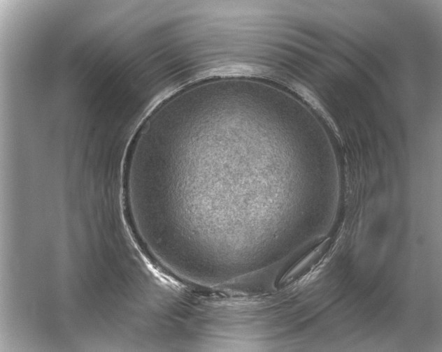 X0000067530845200604150223