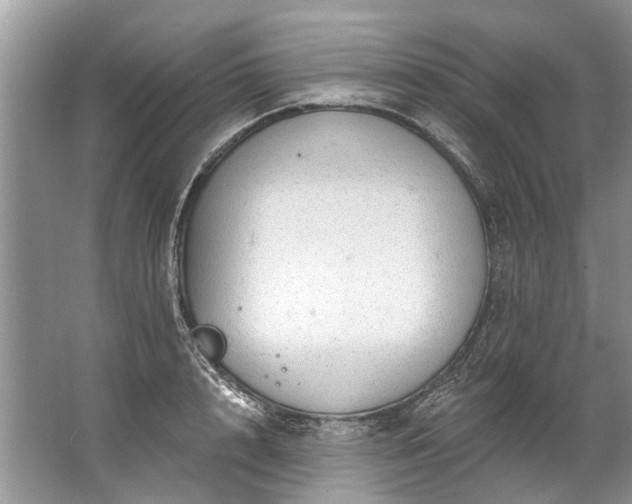 X0000067530848200604150223