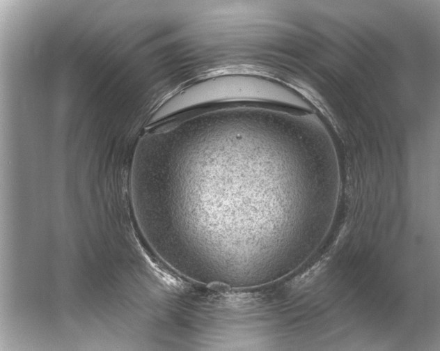 X0000067530849200604150223