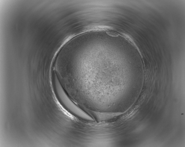 X0000067530851200604150224