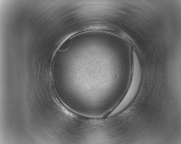 X0000067530852200604150224