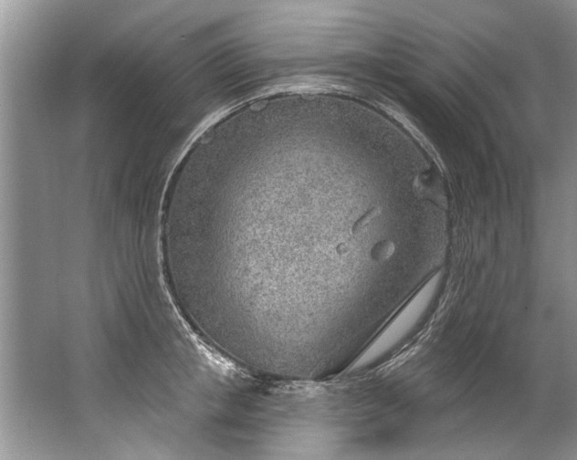 X0000067530853200604150224