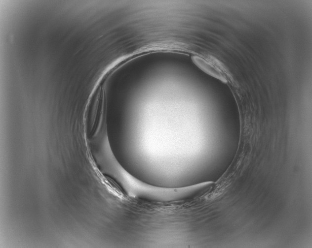 X0000067530854200604150224