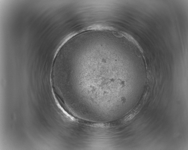 X0000067530855200604150224