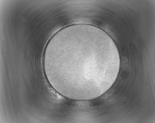 X0000067530856200604150224