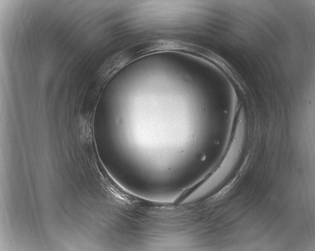 X0000067530857200604150224