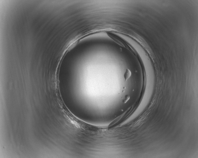 X0000067530858200604150224