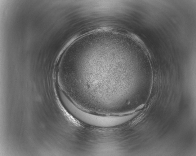 X0000067530859200604150224