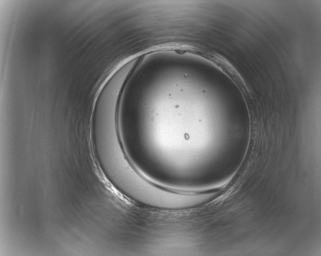 X0000067530860200604150224