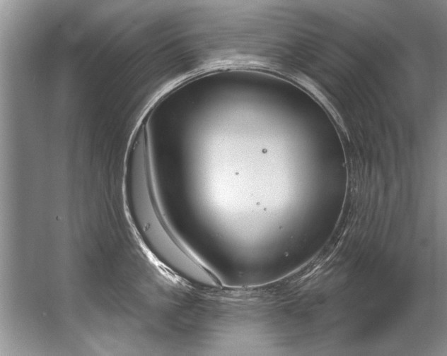 X0000067530861200604150224