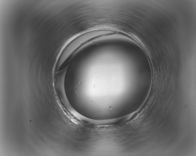 X0000067530862200604150224