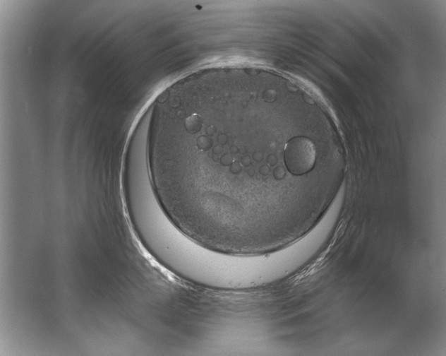 X0000067530863200604150224