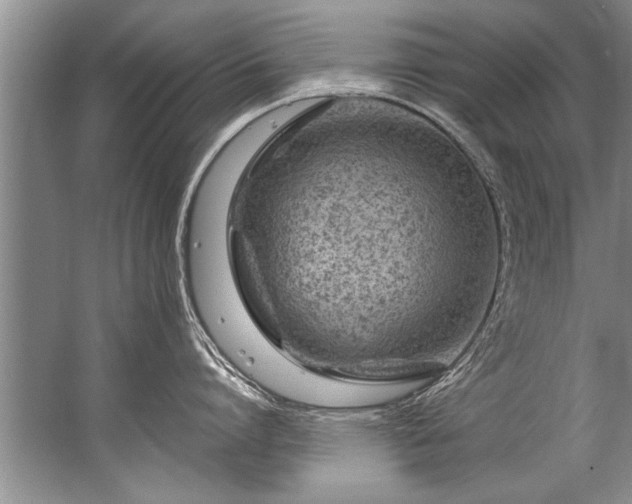 X0000067530864200604150224