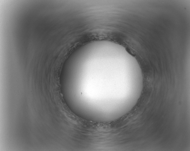 X0000067530865200604150223