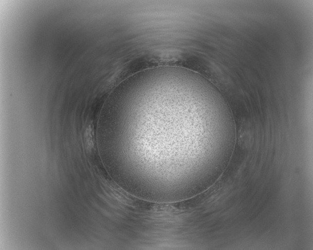 X0000067530866200604150223