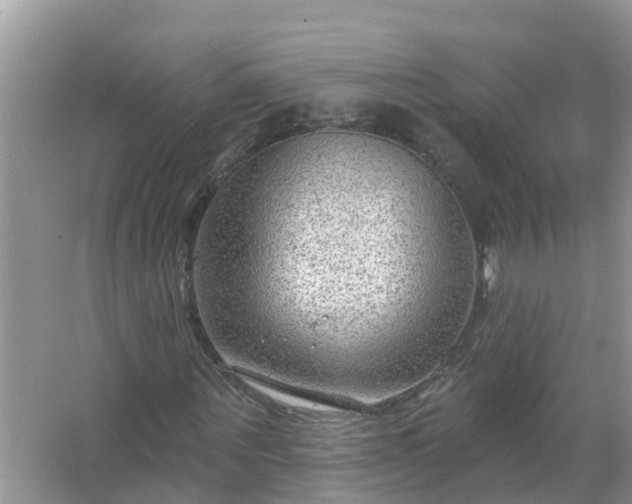 X0000067530867200604150223