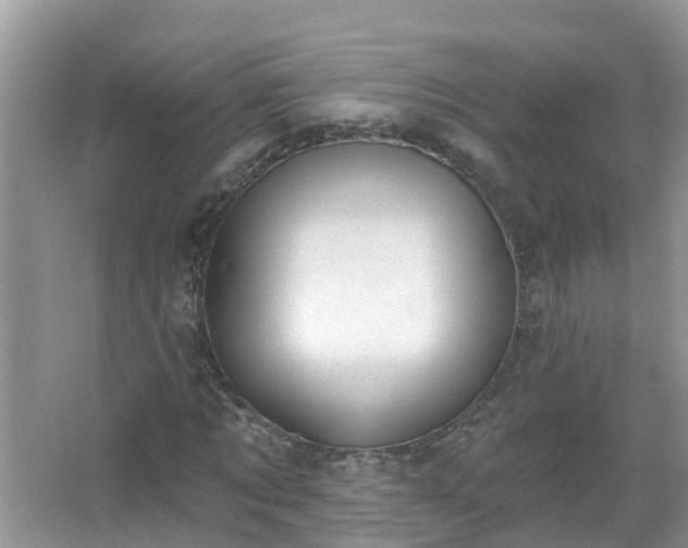 X0000067530869200604150223