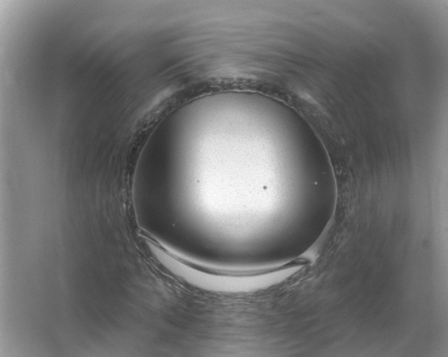 X0000067530870200604150223