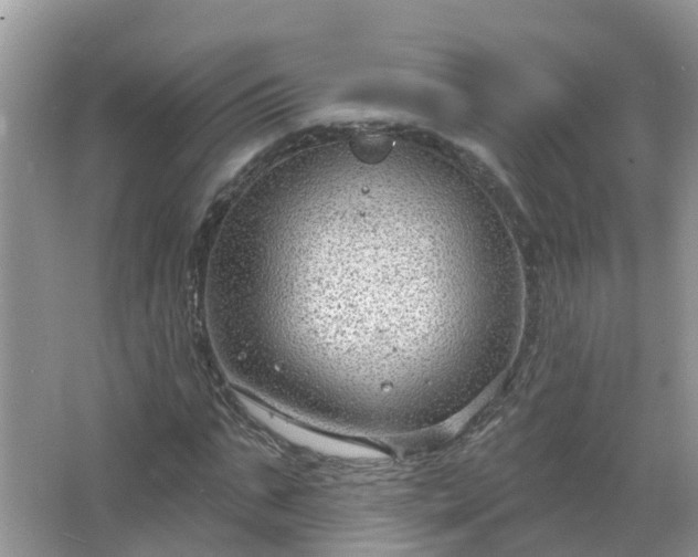 X0000067530871200604150223