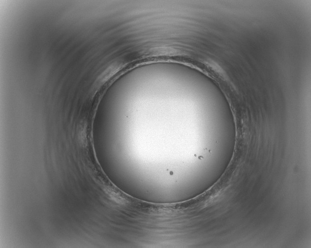 X0000067530873200604150223