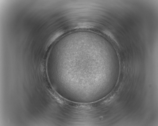 X0000067530874200604150223