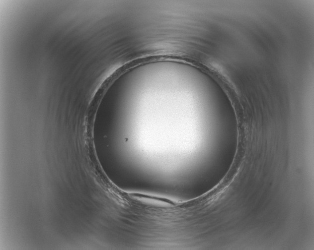 X0000067530875200604150223