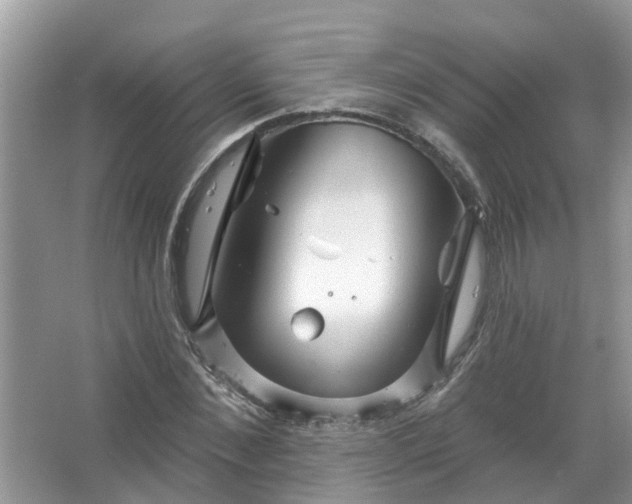 X0000067530876200604150223