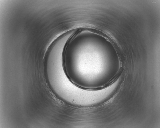 X0000067530877200604150223