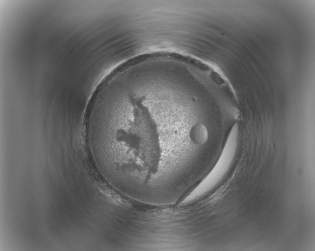 X0000067530879200604150223