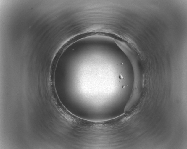 X0000067530880200604150223