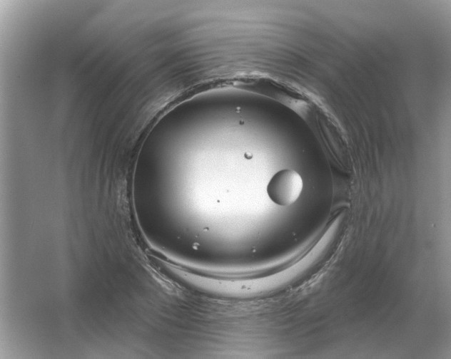 X0000067530881200604150223