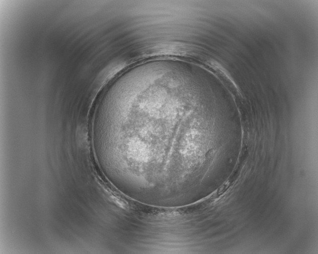 X0000067530882200604150223