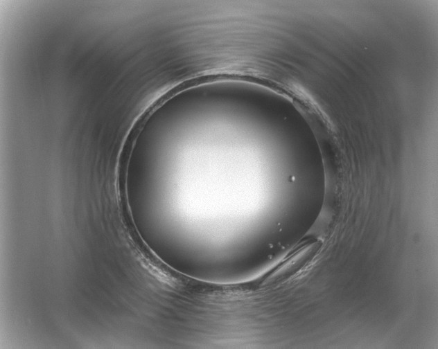 X0000067530884200604150223