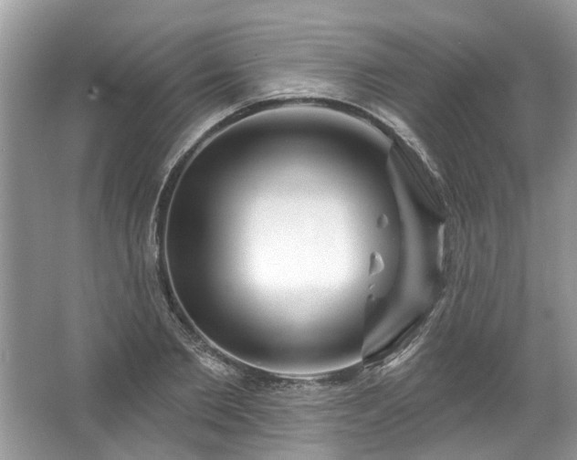 X0000067530885200604150223