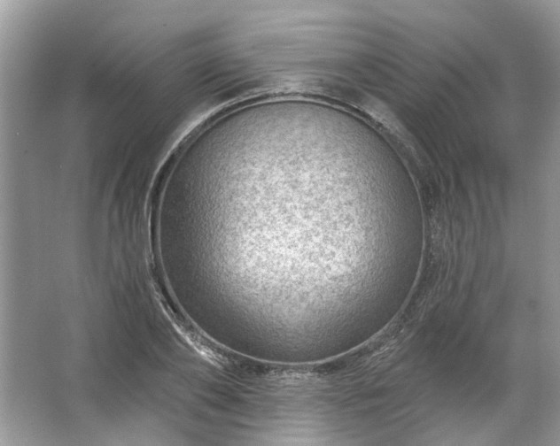 X0000067530886200604150223