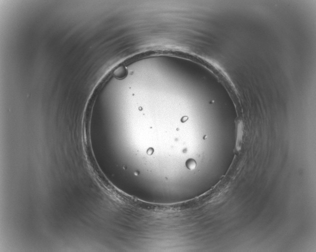 X0000067530887200604150223