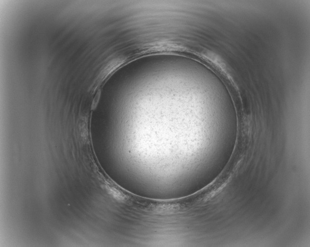 X0000067530889200604150223