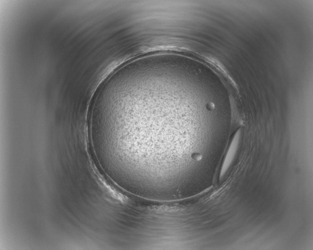 X0000067530890200604150222