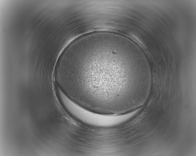 X0000067530891200604150222