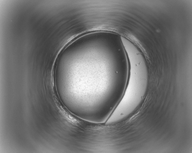 X0000067530892200604150222