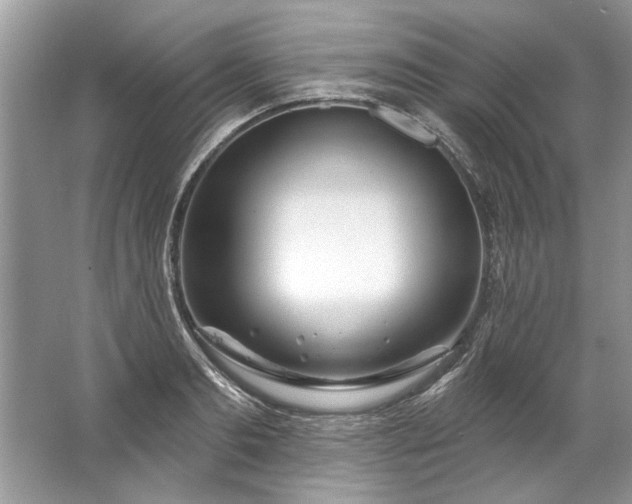 X0000067530893200604150222